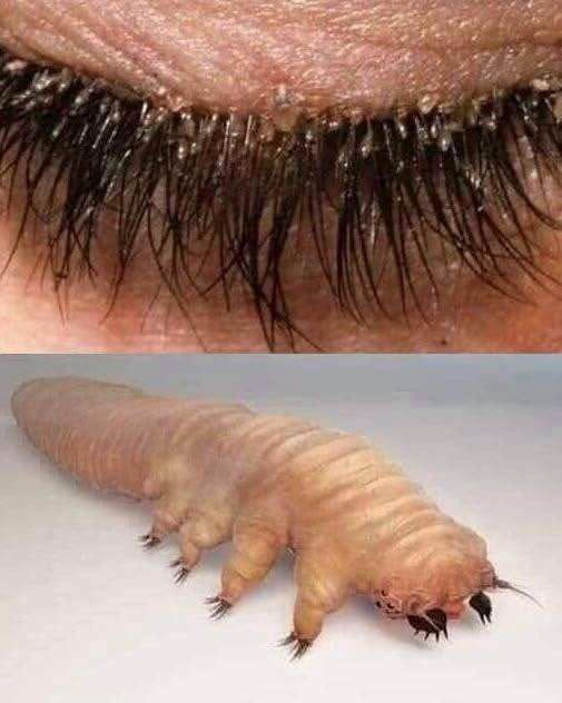 These are the consequences of sleeping with the… See more