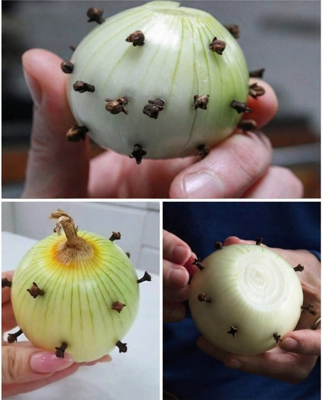Why People Stick Cloves Into an Onion: The Traditional Kitchen Trick That Still Works Today
