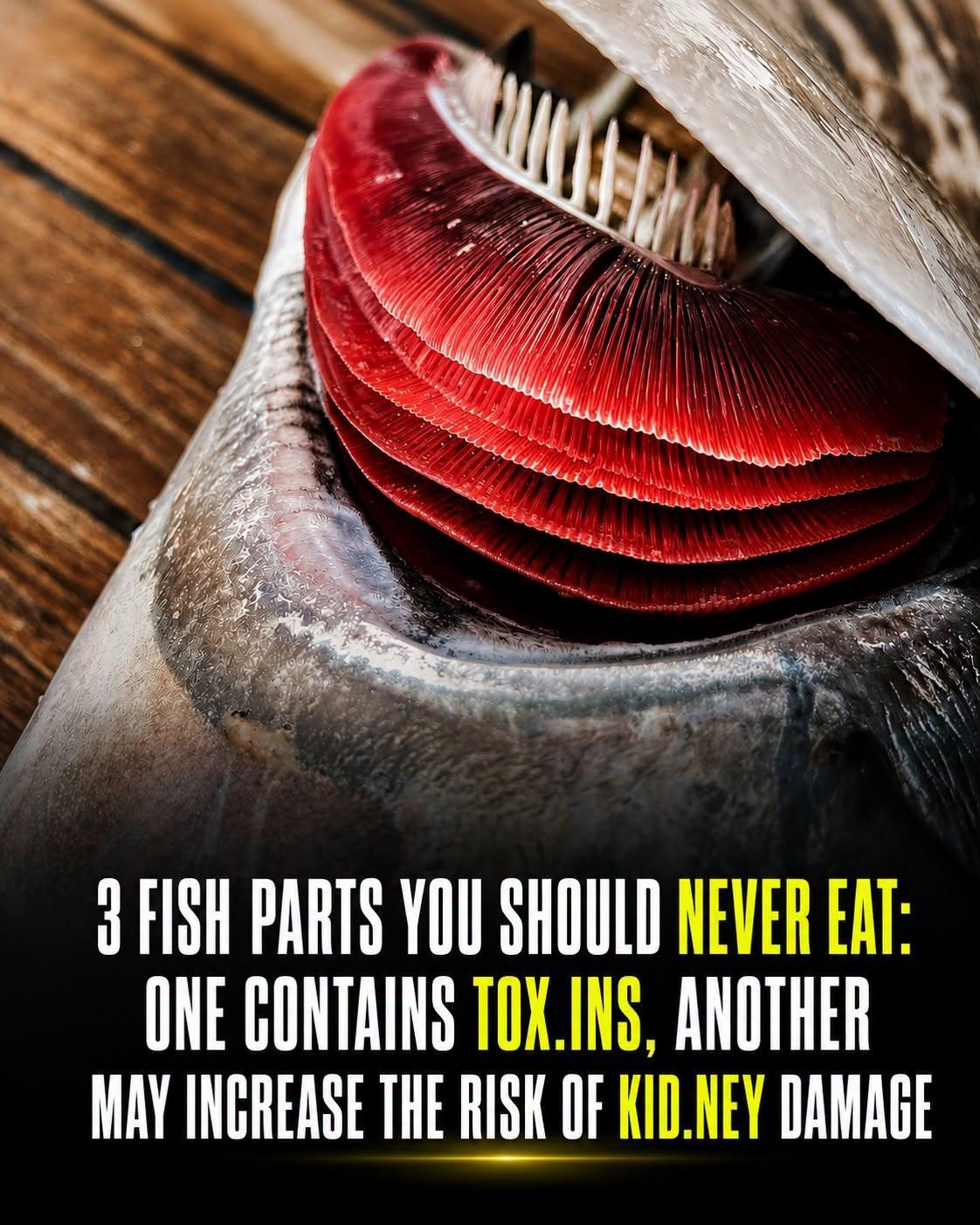 3 Fish Parts You Should Never Eat: One Contains To.xins, Another May Increase the Risk of Kid.ney Damage