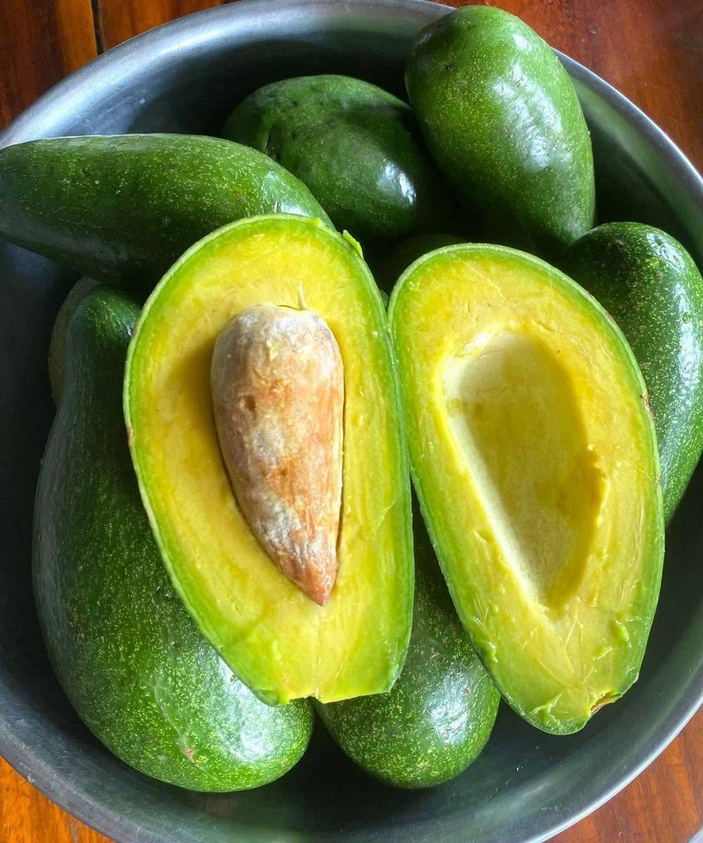 Doctors reveal that eating avocado causes…