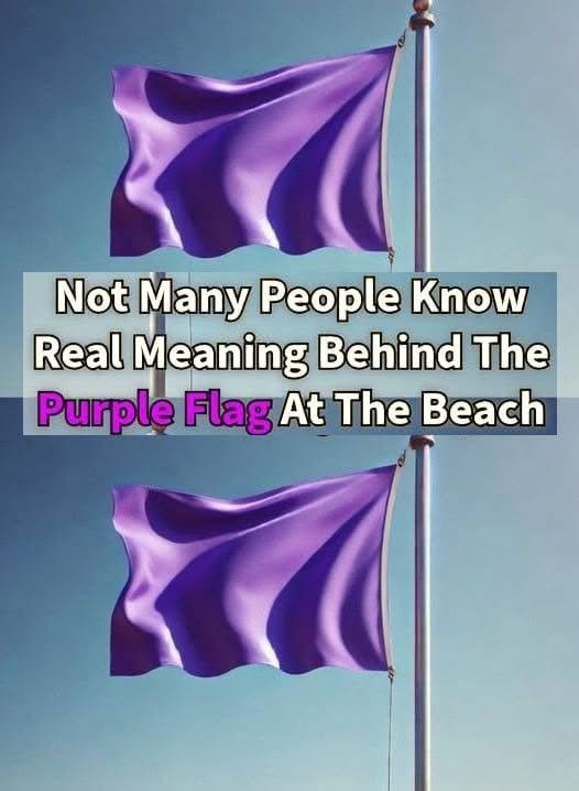 A Purple Flag At The Beach Isn’t Just A Random Warning… See more
