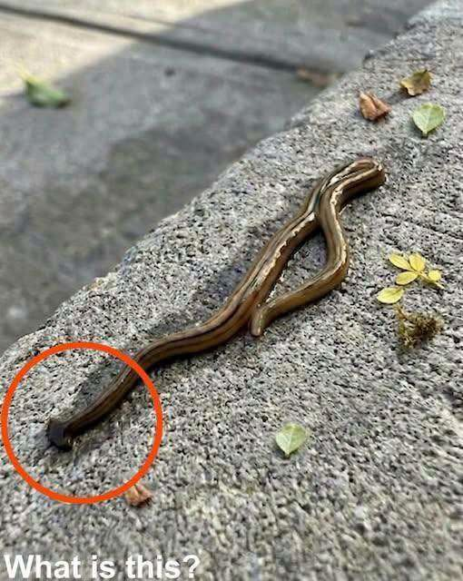 Early in the morning, I went outside to get some fresh air and found this.