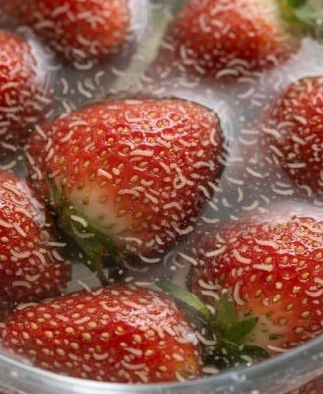 Why Tiny White Larvae Sometimes Appear in Fresh Berries, According to Experts