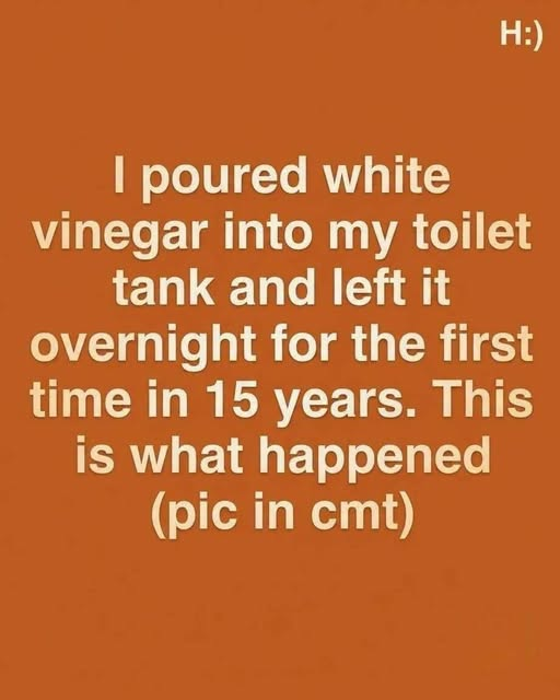 I poured white vinegar into my toilet tank and left it overnight for the first time in 15 years. This is what happened