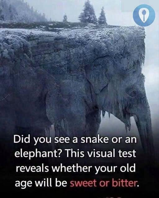 THE FIRST ANIMAL YOU SEE COULD REVEAL A SHOCKING TRUTH ABOUT HOW YOU THINK