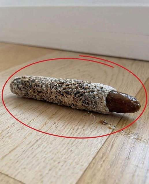 I Found a Strange Little Object on My Floor—Then I Discovered What It Really Was