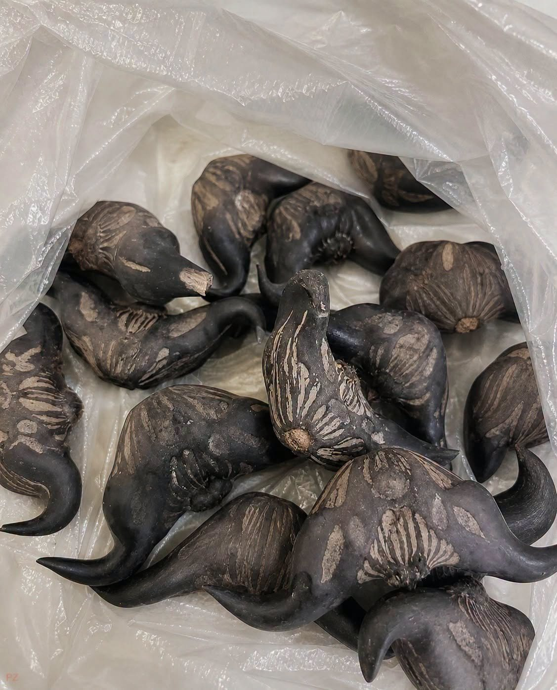 My neighbor gave me a bag of these.anyone know what they are? How do you eat them?