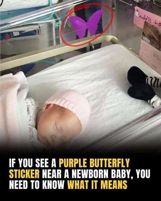 If you see a purple butterfly sticker near a newborn, you need to know what it means