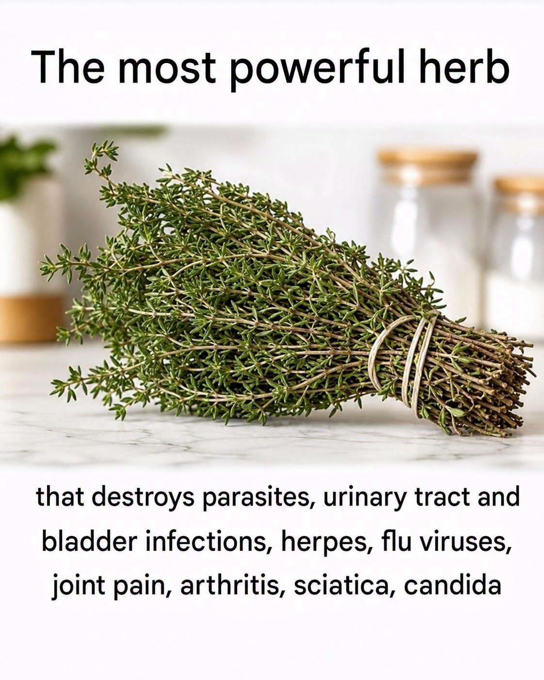 THE MOST POTENT HERB THAT DESTROYS PARASITES, URINARY TRACT