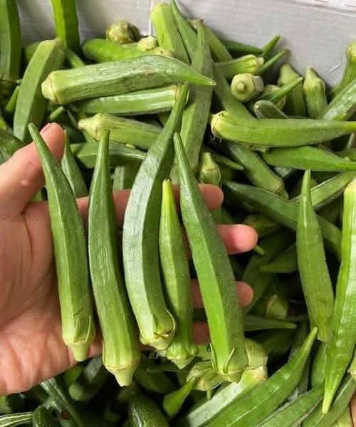 Doctors reveal that eating okra causes..See more