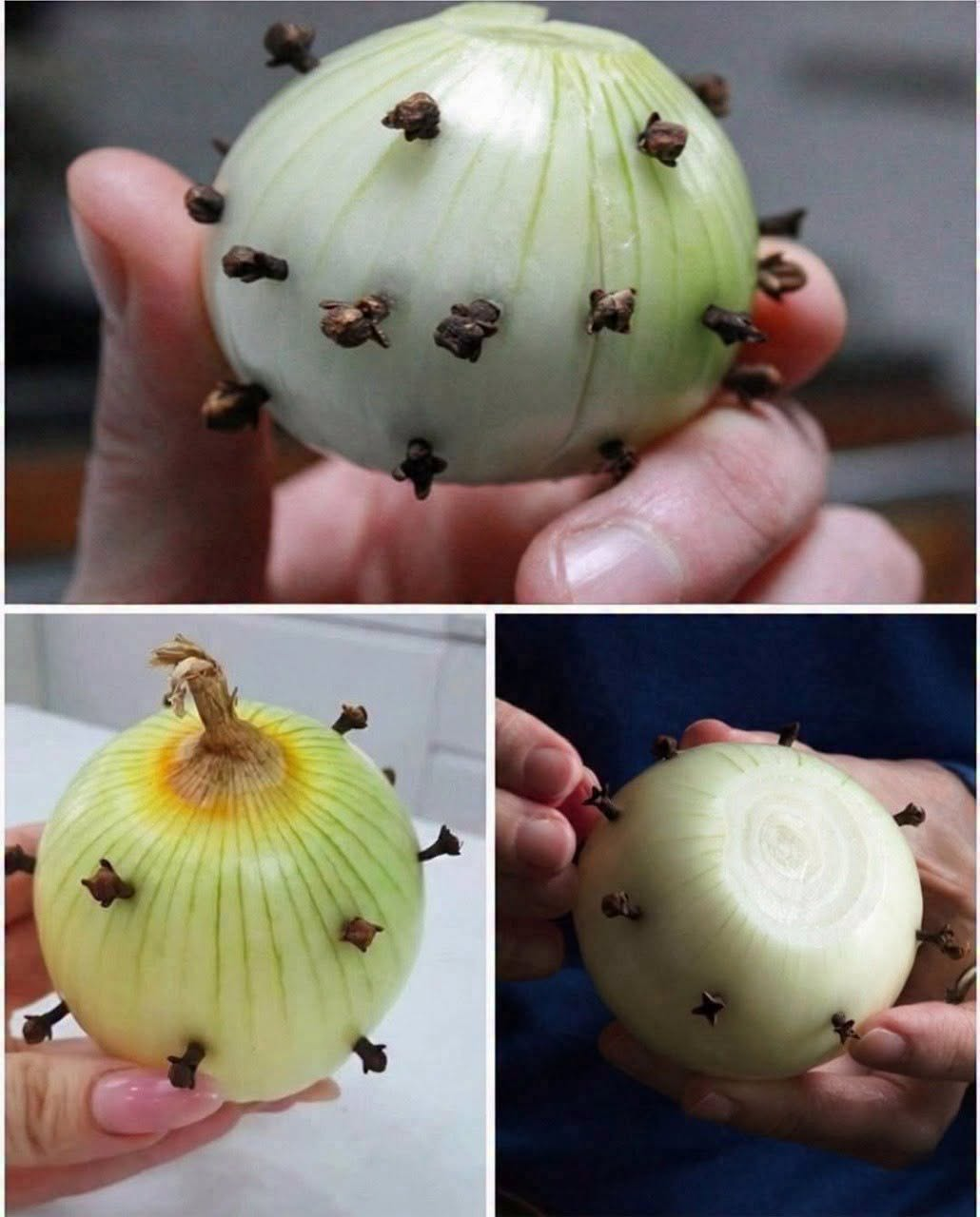 The Traditional Reason People Stick Cloves Into an Onion — And Why It Still Works Today