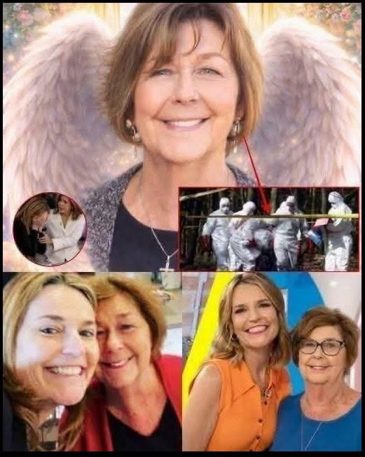 SAD NEWS! Savannah Guthrie has shared the most recent development regarding the search for her missing mother!