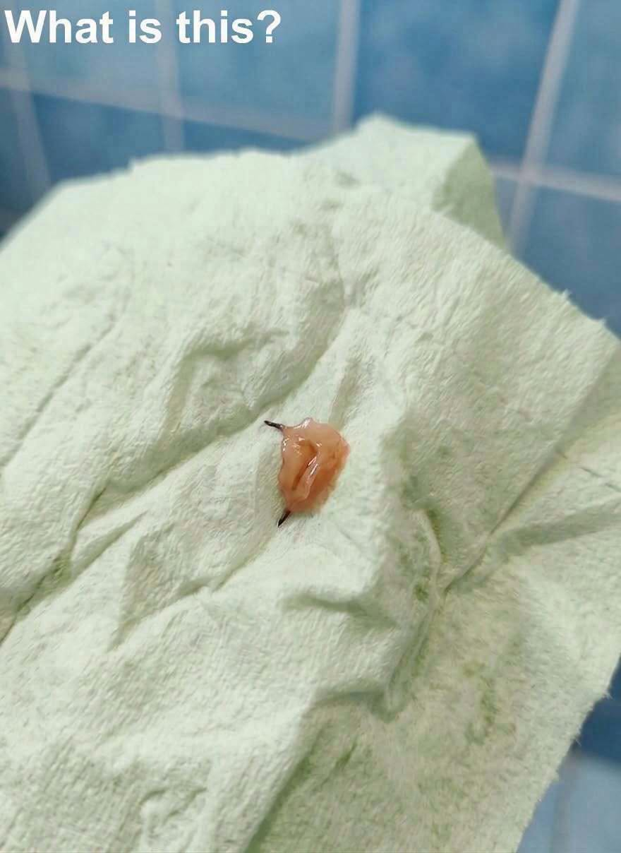 I came home from a trip and decided to take a shower.