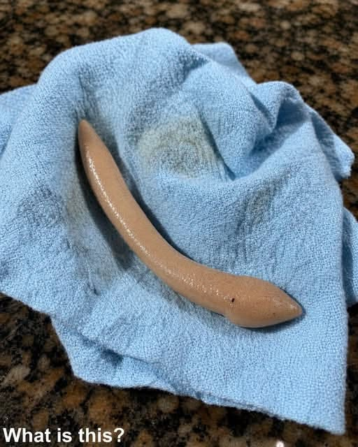 This evening, I walked into my girlfriend’s bathroom and spotted this on the floor. I’ve been sitting here for 30 minutes, staring at it and trying to work out what it is. Honestly, I’m too embarrassed to ask her. Does anyone know what this might be? Check the first comment for the answer ㅤㅤ