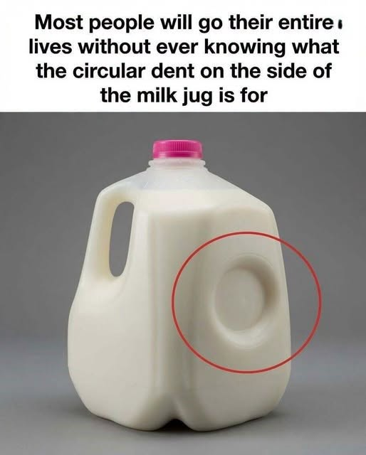 The Hidden Purpose Behind That Little Dent on Your Milk Jug — And Why It Matters More Than You Think