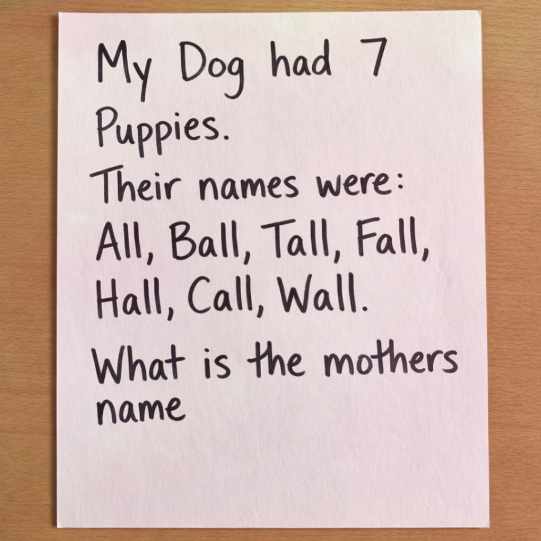 My Dog had 7 Puppies. Their names were: All, Ball, Tall, Fall, Hall, Call, Wall. What is the mother’s name?