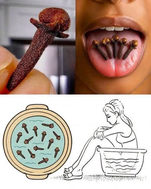 The Ultimate Guide to Cloves: Benefits, Uses, and How They Work