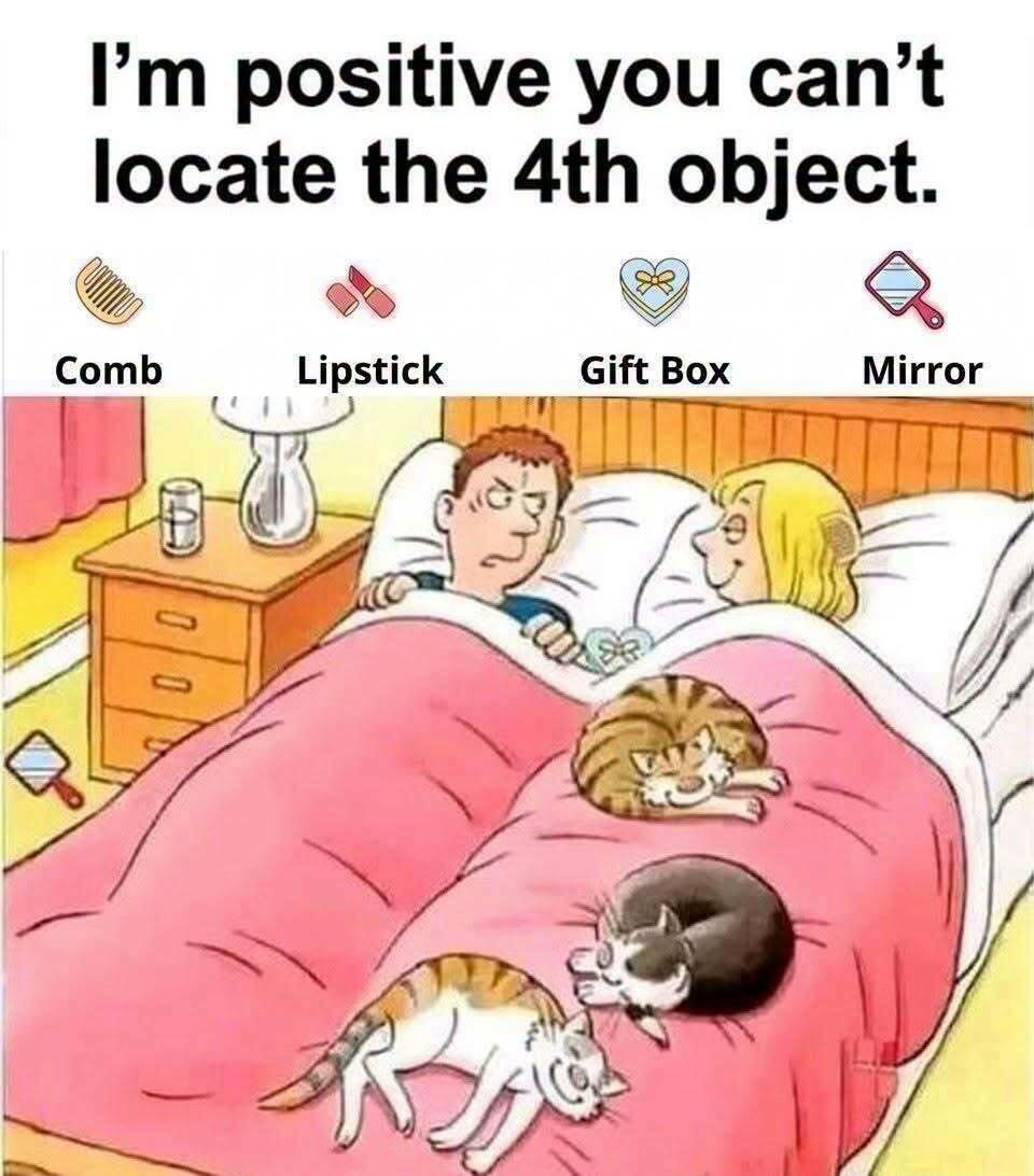 Can You Find the 4 Hidden Objects in This Bed?