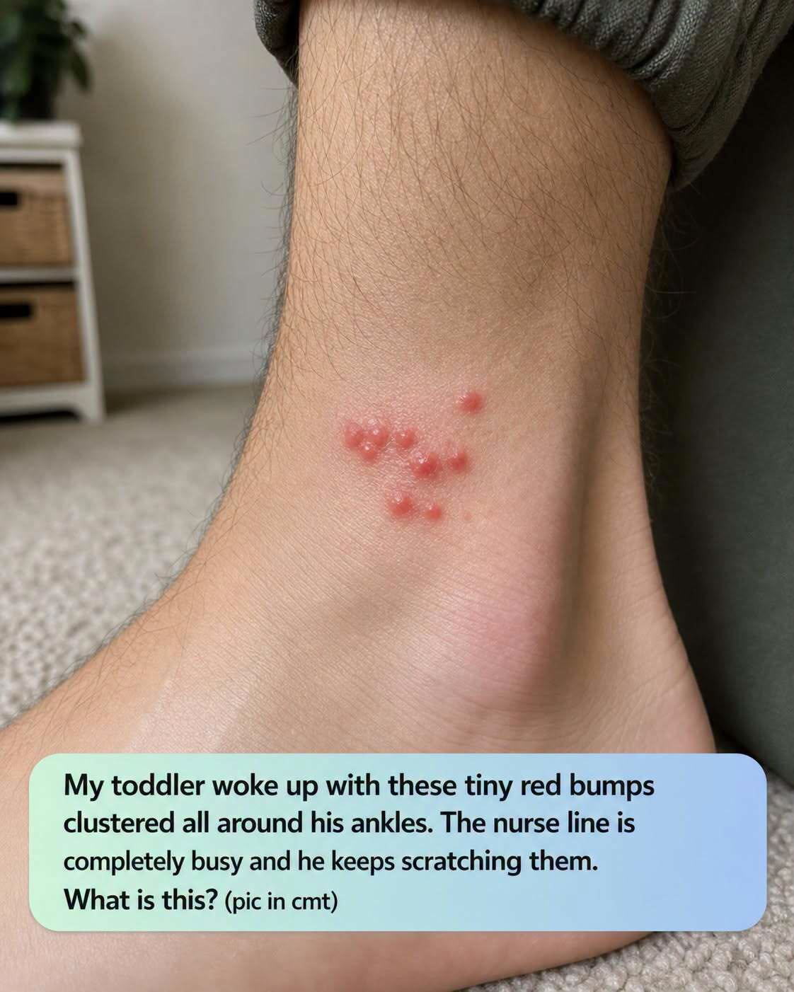 My toddler woke up with these tiny red bumps cluste