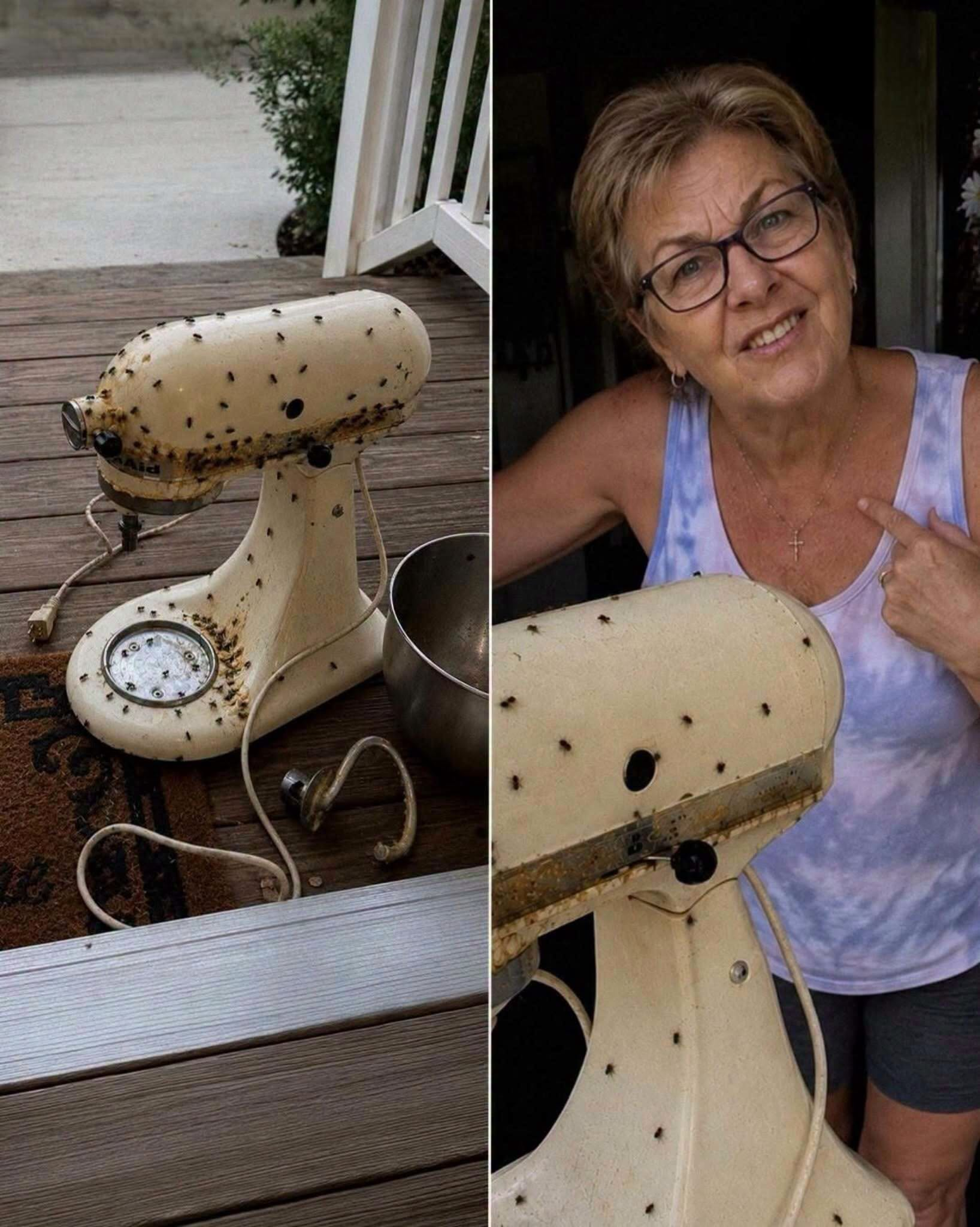 My Neighbor Kept Borrowing My Appliances—Then One Returned in Unexpected Condition