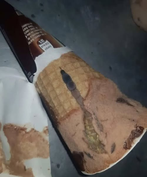 She Took One Bite of Her Ice Cream and Froze When She Saw What Was Hiding Inside