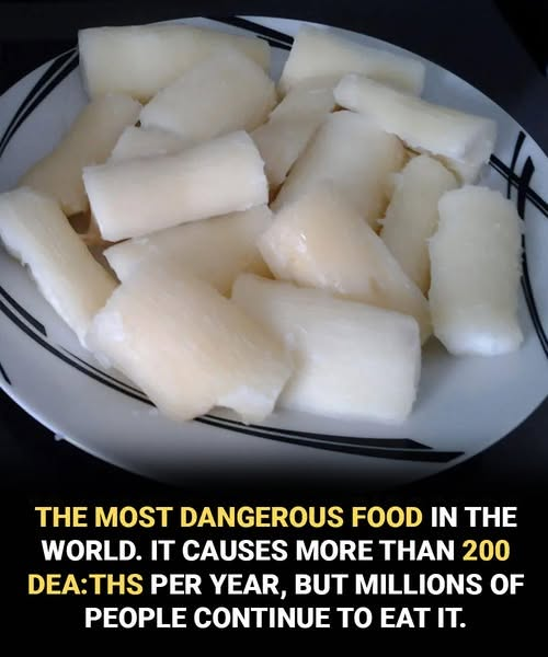 Despite Being the ‘World’s Deadliest Food,’ 500 Million Still Consume It, and It Claims Over 200 Lives Annually