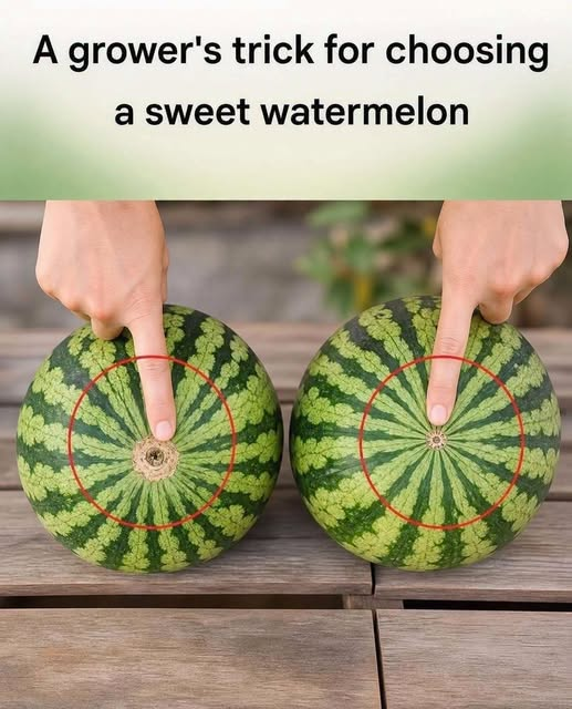 No more tasteless watermelons! Here’s a foolproof visual guide to choosing the sweetest fruit at the market. ..See more