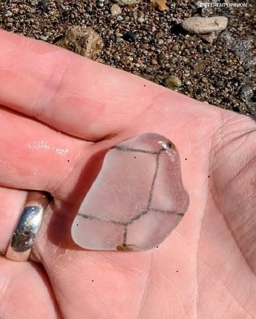 I Picked This Up At The Beach And Couldn’t Believe What Was Inside… See more