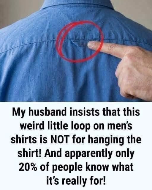 That Tiny Loop Has a Purpose