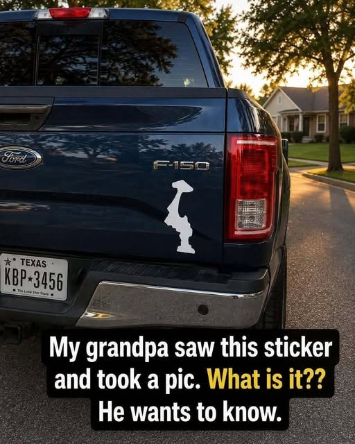 Why Are More Drivers Displaying State Symbols on Their Vehicles? Here’s What It May Mean