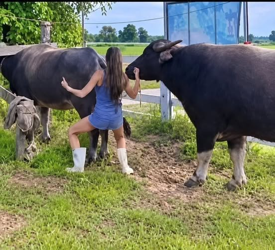 She Had Visited Her Grandmother Many Times—But This Afternoon Was Different