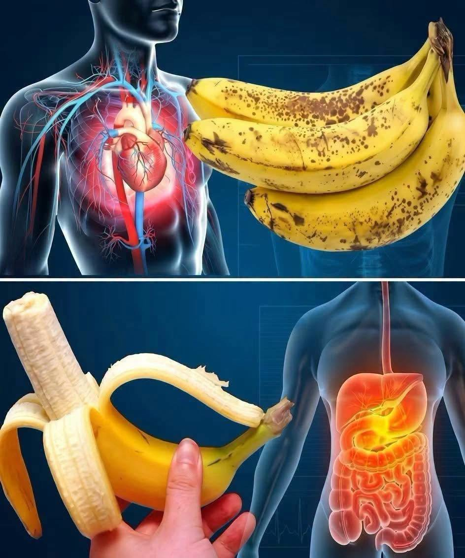 Did you know that eating bananas increases See more