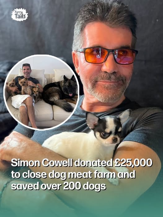 In 2018, Simon Cowell donated £25,000 to an animal protection charity to help close a dog meat farm in South Korea. According to Humane Society International via Sky News, the Britain’s Got Talent judge’s contribution meant that over 200 dogs and puppies who were bred for human consumption would be saved.