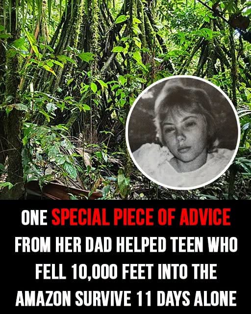 She fell 10,000 feet from a plane and woke up in the jungle, the only survivor