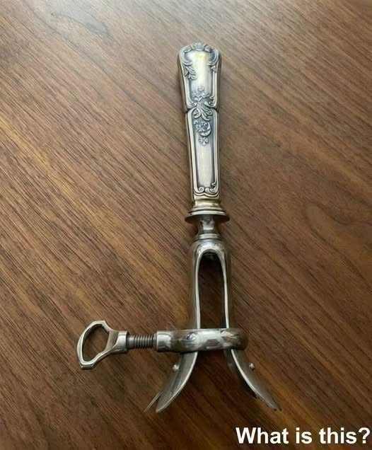 The Forgotten Object Hidden in My Grandmother’s Drawer Sparked a Family Mystery That Brought Us Closer Than Ever Before