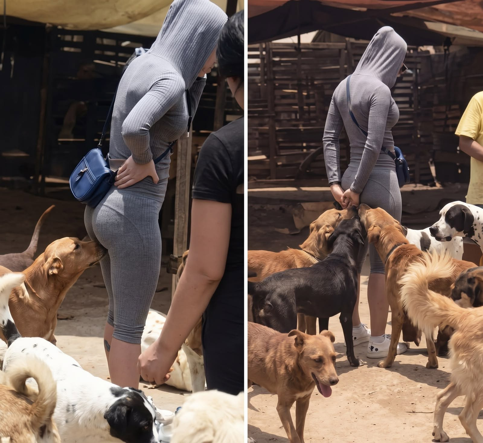 If Your Dog Is Sniffing Your Genital Area, It Usually Means This—Not What You Think